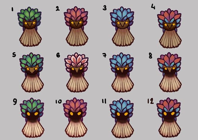 Meet Action 5 Studio